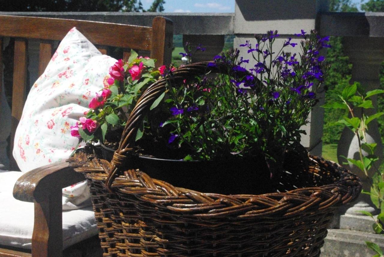 Le Manoir De Crisolles Bed & Breakfast Dış mekan fotoğraf